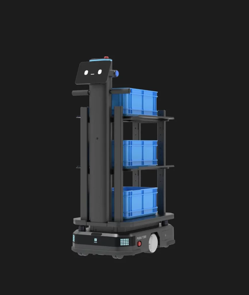 T300 functions